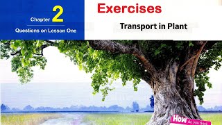 Sec 2\ Biology 1st term\ Chapter 2\ Lesson 1 Transport in plant  exercises [upl. by Conger]