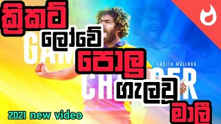 ක්‍රිකට් ලොවේ පොලු ගැලවූ මාලි song amp video  Thanx malinga ❤️🏏 [upl. by Alphonso]