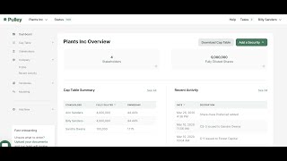 Pulley Cap Table Management Demo [upl. by Philpot]