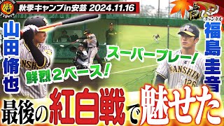 【11月16日秋季キャンプ】最後の紅白戦！山田がいきなり鮮烈二塁打！福島は超絶美技で魅せる！佐藤輝vs前川の4番打者対決も！阪神タイガース密着！応援番組「虎バン」ABCテレビ公式チャンネル [upl. by Adamsun]