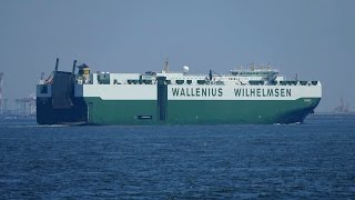 Wallenius Wilhelmsen “FIGARO” in Ise Bay [upl. by Marna]