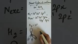 Hybridization in NH3Rs Classes [upl. by Stolzer436]