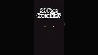 30 Foot Crocodile in Philippines [upl. by Eimmot147]