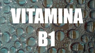 VITAMINA B1 tiamina – Importância benefícios e alimentos ricos [upl. by Biddy677]