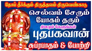 புதன் பகவான் 108 போற்றி புதன்கிழமை காலை மாலை கேளுங்கள்  Budha Bhagavan Suprabatham  Sivam Audios [upl. by Nosnehpets557]