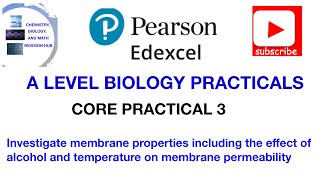 Membrane permeability  Alcohol and temperature  Core practical 3 [upl. by Hufnagel]