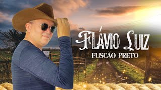 Flávio Luiz  Fuscão preto cover Festa na roça [upl. by Atnahc718]