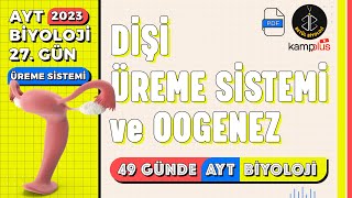 27 Dişi Üreme Sistemi ve Oogenez  Üreme Sistemi 11 Sınıf  2023 AYT Biyoloji Kampı 27 Gün [upl. by Alsi432]