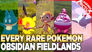 Every Rare Pokemon in Obsidian Fieldlands  Pokemon Legends Arceus [upl. by Ahsi]