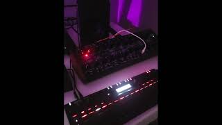 KORG SQ64 amp Ableton  demo musicproduction electronicmusic [upl. by Aerdnaeel]