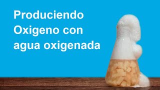 Produciendo Oxígeno con agua oxigenada [upl. by Kopans]