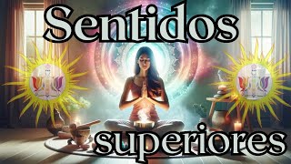 5ta parte SENTIDOS SUPERIORES 23 Abril 2024 [upl. by Eenwat]