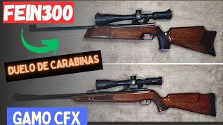 Duelo de Carabinas Gamo CFX Royal Vs Feinwerkbau 300S [upl. by Anined]