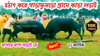 হঠাৎ করে আবার গাড়াফুসড়ো গ্রামে কাড়া লড়াই  Garaphusro Kara Larai  Kara Larai Purulia today kara [upl. by Simonne710]