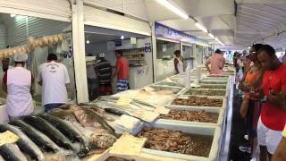 Mercado de Peixe Santos  Fish Market  Santos Brazil [upl. by Bergh]