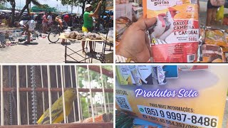 Feira da Messejana em Fortaleza CE [upl. by Aklam820]