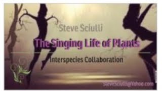 Steve Sciulli The Singing Life of Plants [upl. by Hgielrebma194]