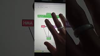 💰HADC the powerful Candle video no1 st livetradingbanknifty liveniftytrading banknifty options [upl. by Htnamas]