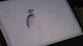 Chinese Brush Painting Basic Lesson 11 [upl. by Tilagram]