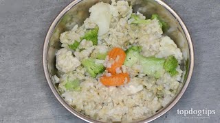 Recipe Homemade Dog Food for Fussy Eaters [upl. by Cynera]