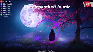 Die Einsamkeit in mir Official Audio PlerTanix [upl. by Sinnek]