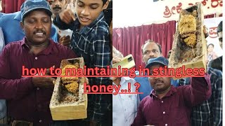 how to maintaining in stingless honey stingless bee honey harvest [upl. by Fredericka]