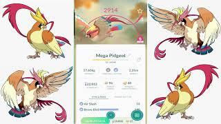 Mega Evolution Pidgeot [upl. by Buckden]