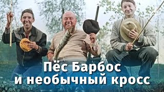 Пёс Барбос и необычный кросс FullHD комедия реж Леонид Гайдай 1961 г [upl. by Enaasiali]