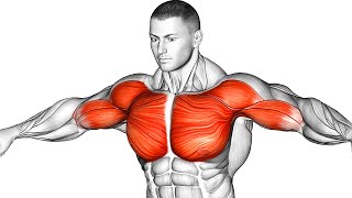 The Best Chest Workout Guide To Build A Massive Pec [upl. by Skardol]