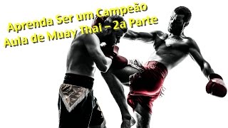 Aprenda Ser um Campeão Parte 2  Vídeo Aula de Muay Thai na Pedra Team [upl. by Leiruh976]