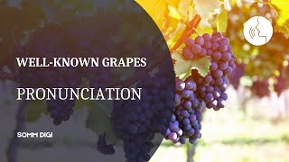 WINE GRAPE VARIETIES  How to pronounce wine grapes Wine Pronunciation [upl. by Markus]