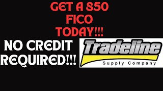 Buy 850 FICO Score Today  Tradeline Supply [upl. by Zoes]