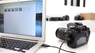 Canon 80D Tutorial  How to connect DSLR to your computer and control it tether [upl. by Aisat]