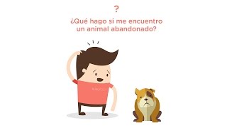 ¿Qué hago si me encuentro un animal abandonado [upl. by Mirilla]