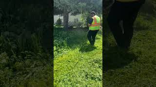 Weed whacking all day junkremovalservices mowtime lawn lawnmowerman mowingthelawn [upl. by Fablan]