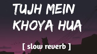 quotTujh Mein Khoya hua  Lofi Remix  Soulful Hindi Lofi  Lost in Youquot lofi music trending [upl. by Gibbon169]