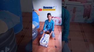 Rescue turtle dovesPigeon loveradnan shaikhbird status viralshort birdsrescuekabutarbts bts [upl. by Savanna]