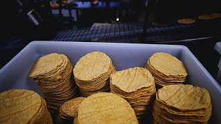 Preocupa a empresarios el futuro de la tortilla [upl. by Enirhtac]