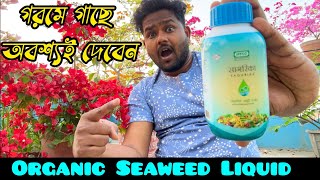 সাগরিকা র Sagarika ব্যবহার  Liquid Seaweed Extract  how to use Sagarika  Iffco ProductOrganic [upl. by Atika]