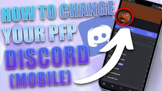 How to Change Your Profile Picture on Discord Mobile 2024 [upl. by Yaya]