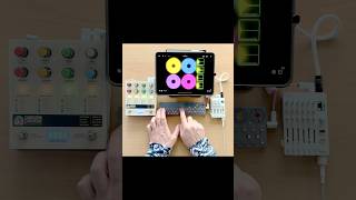 Maxed out saturated thick beats live looping on iPad with Chroma Console OPZ Loopy Pro amp TX6 [upl. by Carlene870]