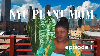 Life of an NYC Plant Mom  Plant chores watering amp more [upl. by Durwood]