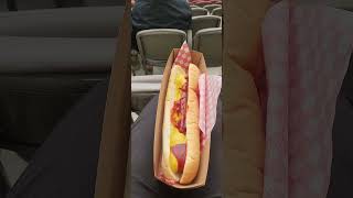 BC Lions Vs Winnipeg Bluebombers August 18th Footlong Hotdog [upl. by Mazur]