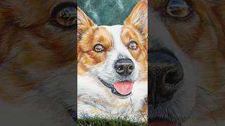 Knox 🤍🕊️ memorial painting petportrait petportraitartist art artcommission dogpainting [upl. by Storfer]