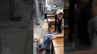 Lol the man at the end  Best of The Ha sisters  hasisters shorts evelyn dog dogmom nyc ootd [upl. by Arakahs]