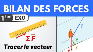 Vecteur somme des forces  1ère spécialité  Physique [upl. by Nogaem968]