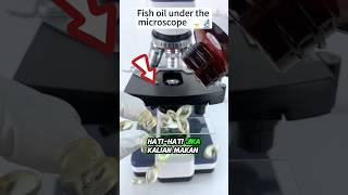 Apa Itu Didalam Minyak Ikan 😱 [upl. by Binette]