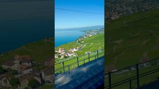 Lavaux Vineyards near Montreux Switzerland 🇨🇭 [upl. by Gleich]