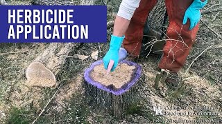 Herbicide Application [upl. by Esalb]