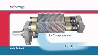 Screw Compressor Principle Mouvex Overview [upl. by Ardnossac834]